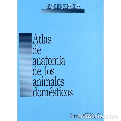 B&uuml;cher: ATLAS de ANATOM&Iacute;A de los ANIMALES DOM&Eacute;STICOS - ROLF R. KRAHMER - Sin Especificar
