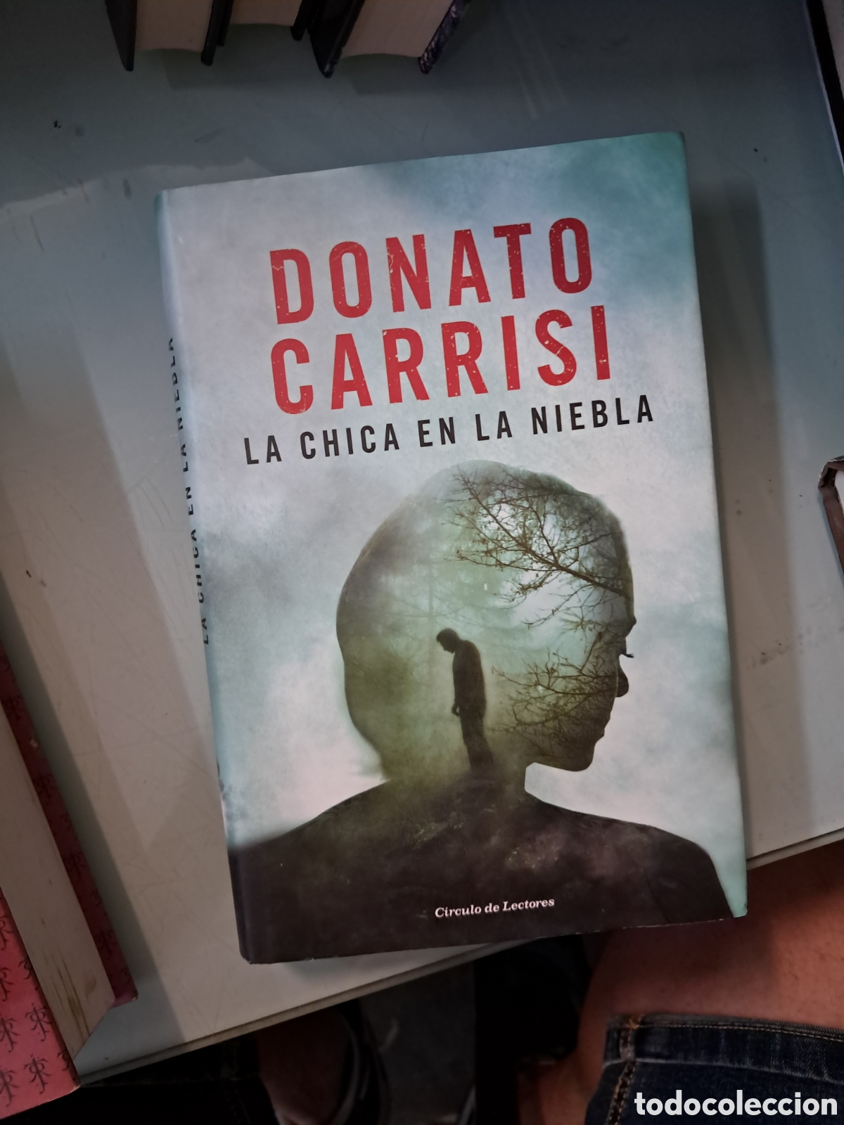 Libros: Donato Carrisi, La.chica en la niebla, C&iacute;rculo de Lectores - Foto 1