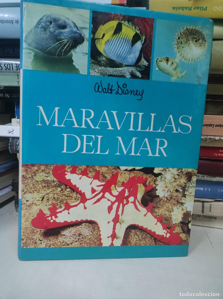 Libros: MARAVILLAS DEL MAR WALT DISNEY - Foto 1