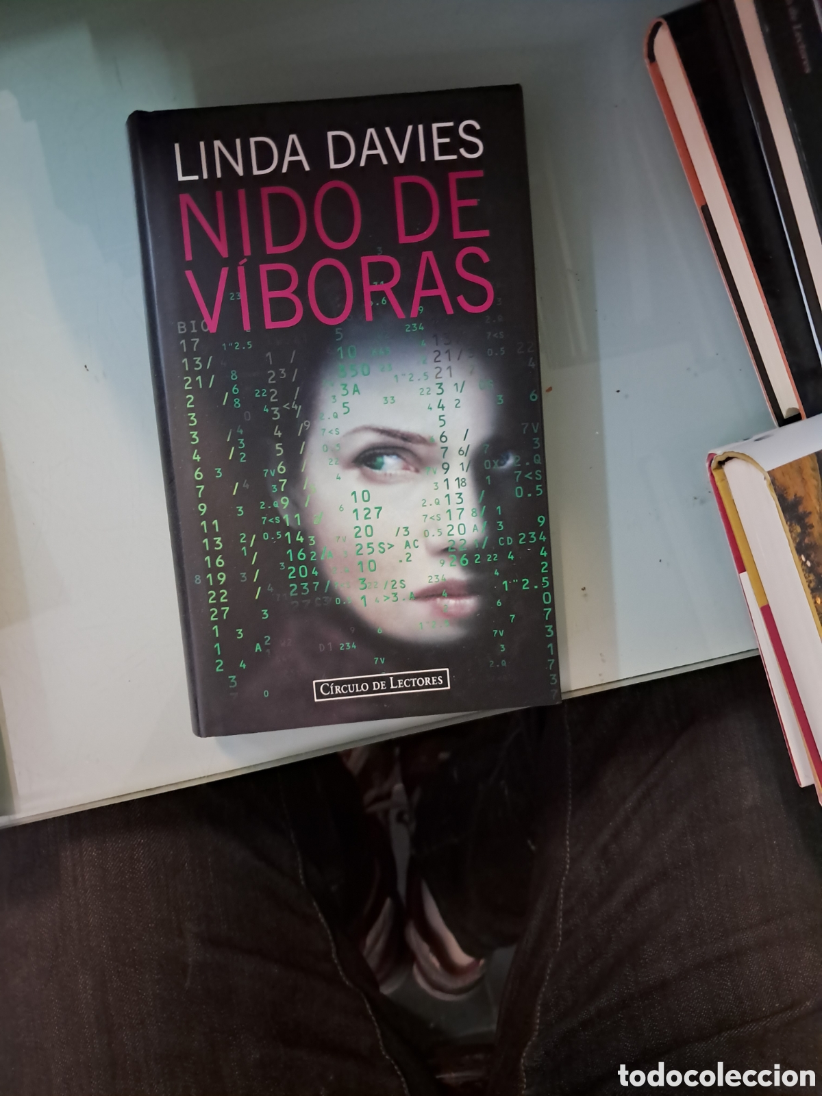 Libros: Linda Davies, Nido de v&iacute;boras C&iacute;rculo de Lectores - Foto 1