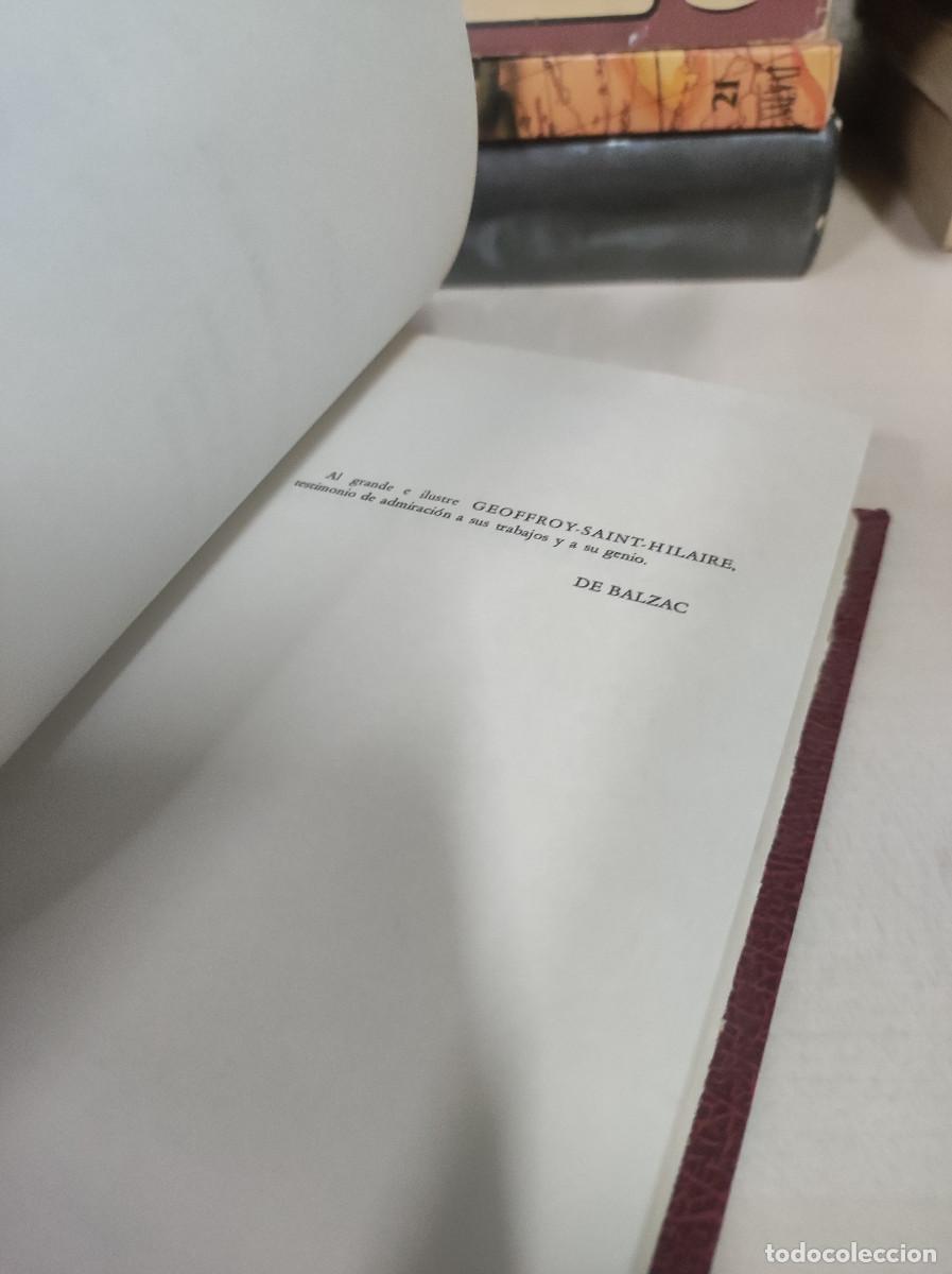 Libros: GORIOT EL PADRE DE BALZAC - Foto 3