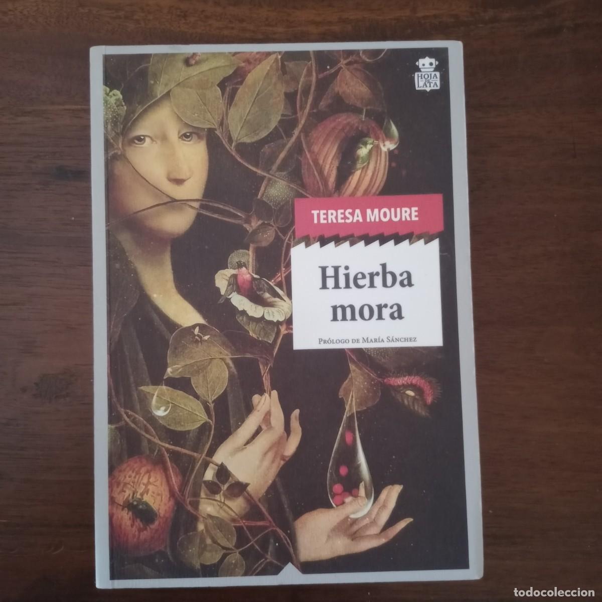 Libros: Hierba mora - Moure Pereiro, Teresa - Foto 1