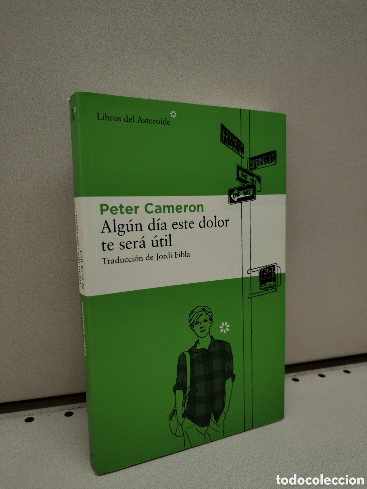 Libros: Alg&uacute;n d&iacute;a este dolor te ser&aacute; &uacute;til - Cameron, Peter - Foto 1