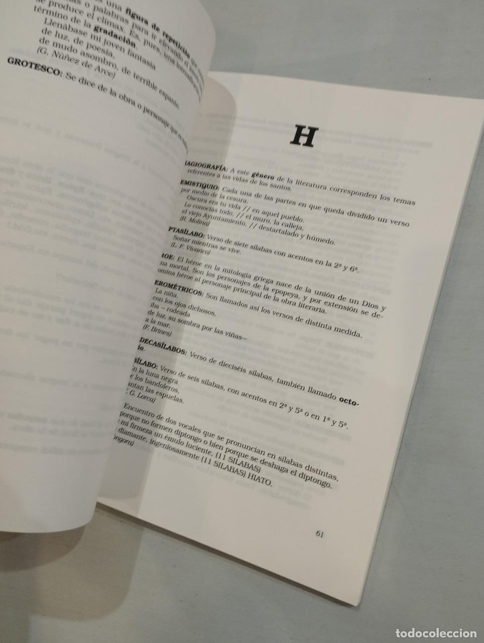 Libros: Carlos Vicent - Diccionario de t&eacute;rminos literarios - Foto 2