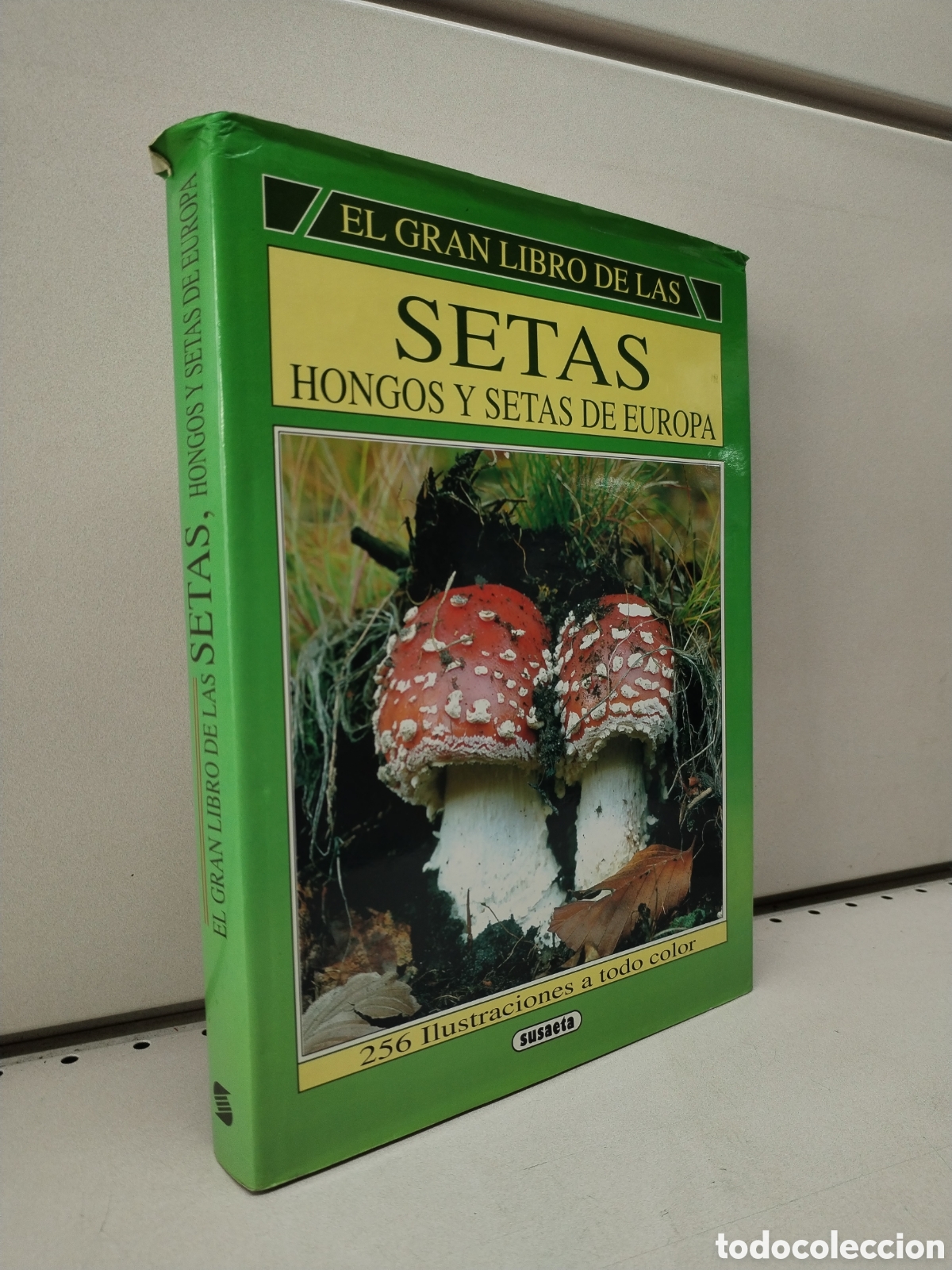 Libros: Gran libro de las setas - BECKER, GEORGES - Foto 1