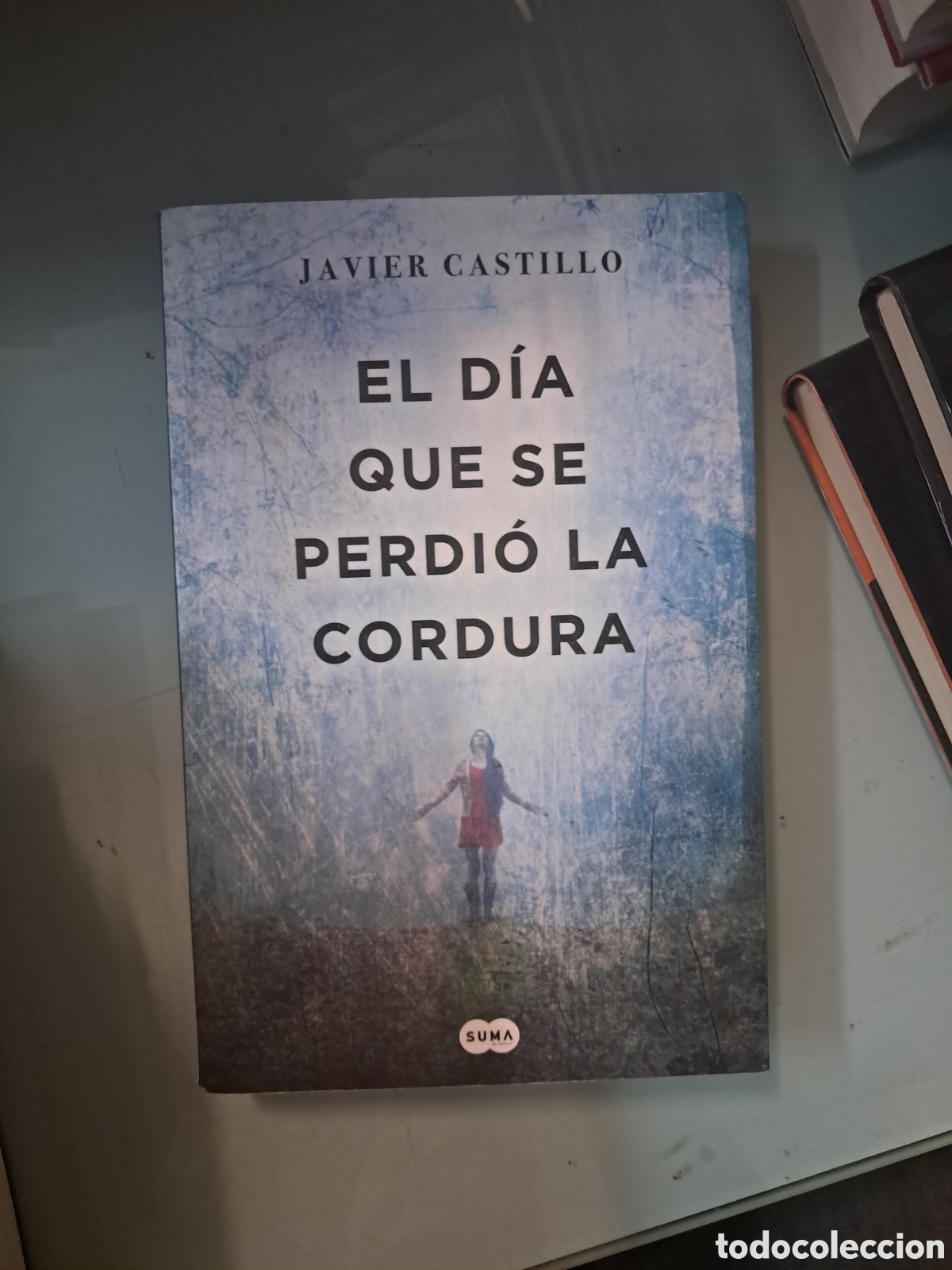 Libros: Javier Castillo, El d&iacute;a que se perdi&oacute; la cordura, C&iacute;rculo de Lectores - Foto 1