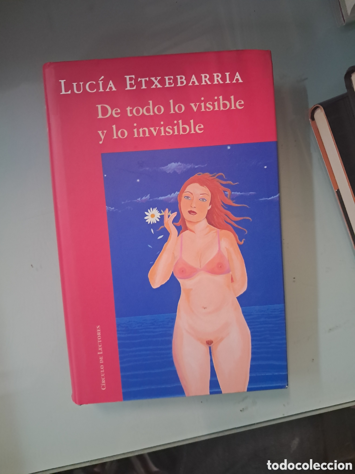 Libros: Luc&iacute;a Etxebarria, , De todo lo visible y lo invisible - Foto 1