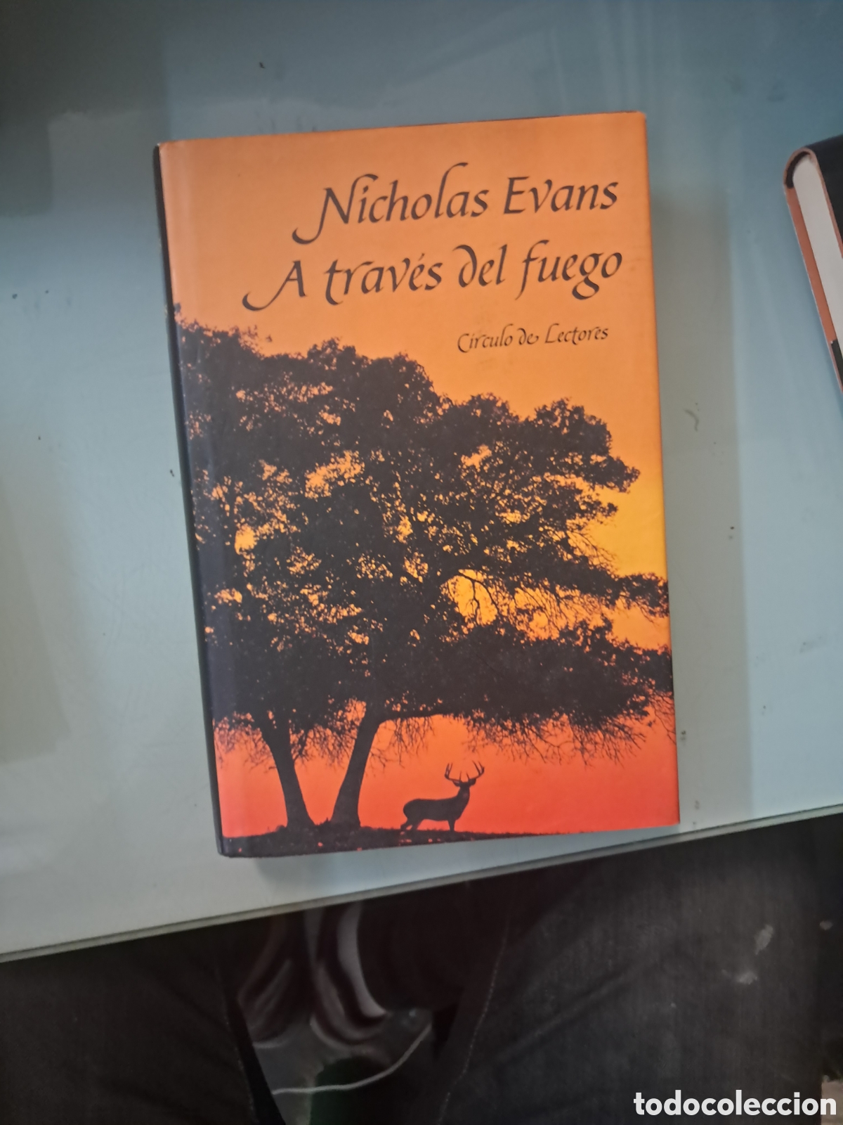 Libros: Nicholas Evans, A trav&eacute;s del fuego, C&iacute;rculo de Lectores - Foto 1