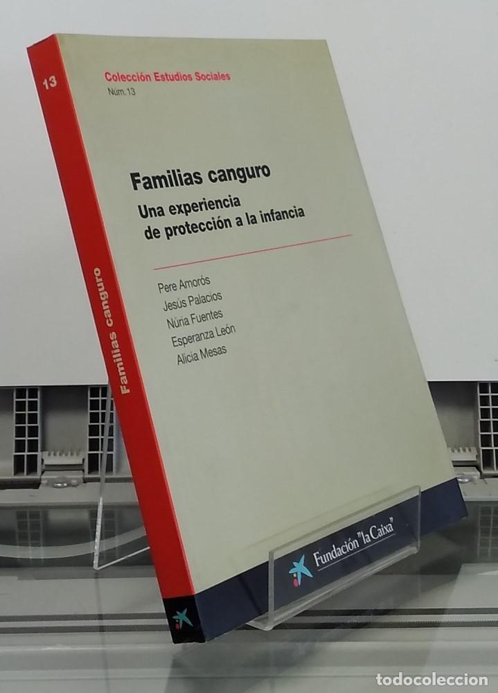 Livres: Familias canguro. Una experiencia de protecci&oacute;n a la infancia - Pere Amor&oacute;s et al