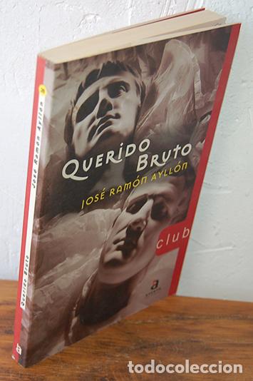Libros: QUERIDO BRUTO - JOS&Eacute; RAM&Oacute;N AYLL&Oacute;N - Foto 1