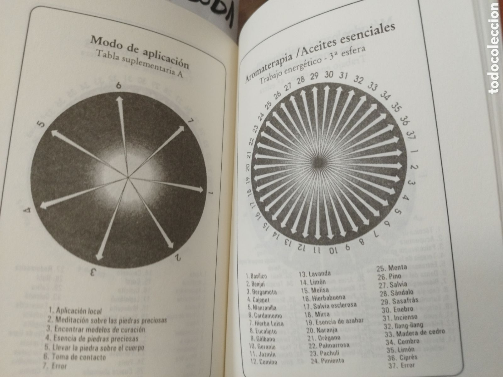 Libros: MANUAL DEL PENDULO. Consejos pr&aacute;cticos y descripci&oacute;n de todos los usos del p&eacute;ndulo - LUBECK,Walter - Foto 6