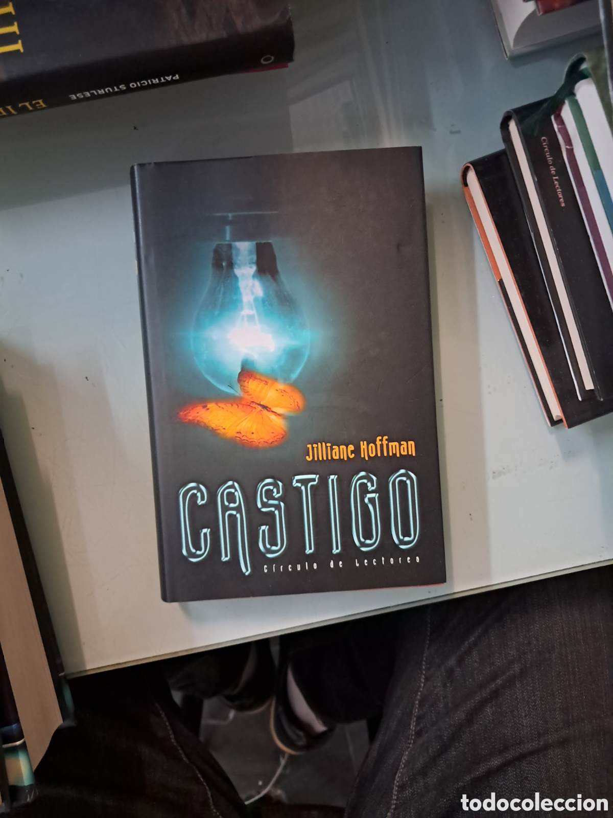 Libros: Jilliane Hiffman, Castigo, C&iacute;rculo de Lectores - Foto 1