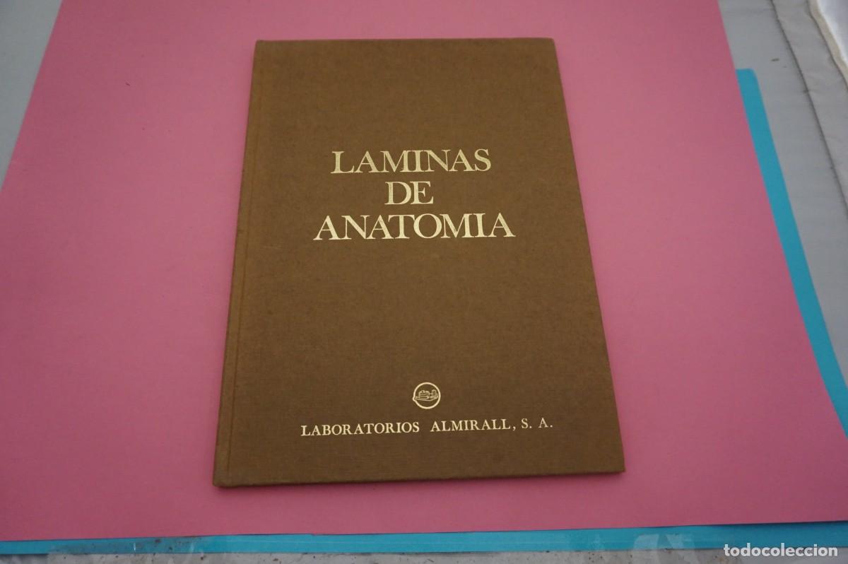Libros: 24G/ LAMINAS DE ANATOMIA - LABORATORIOS ALMIRALL - Foto 1