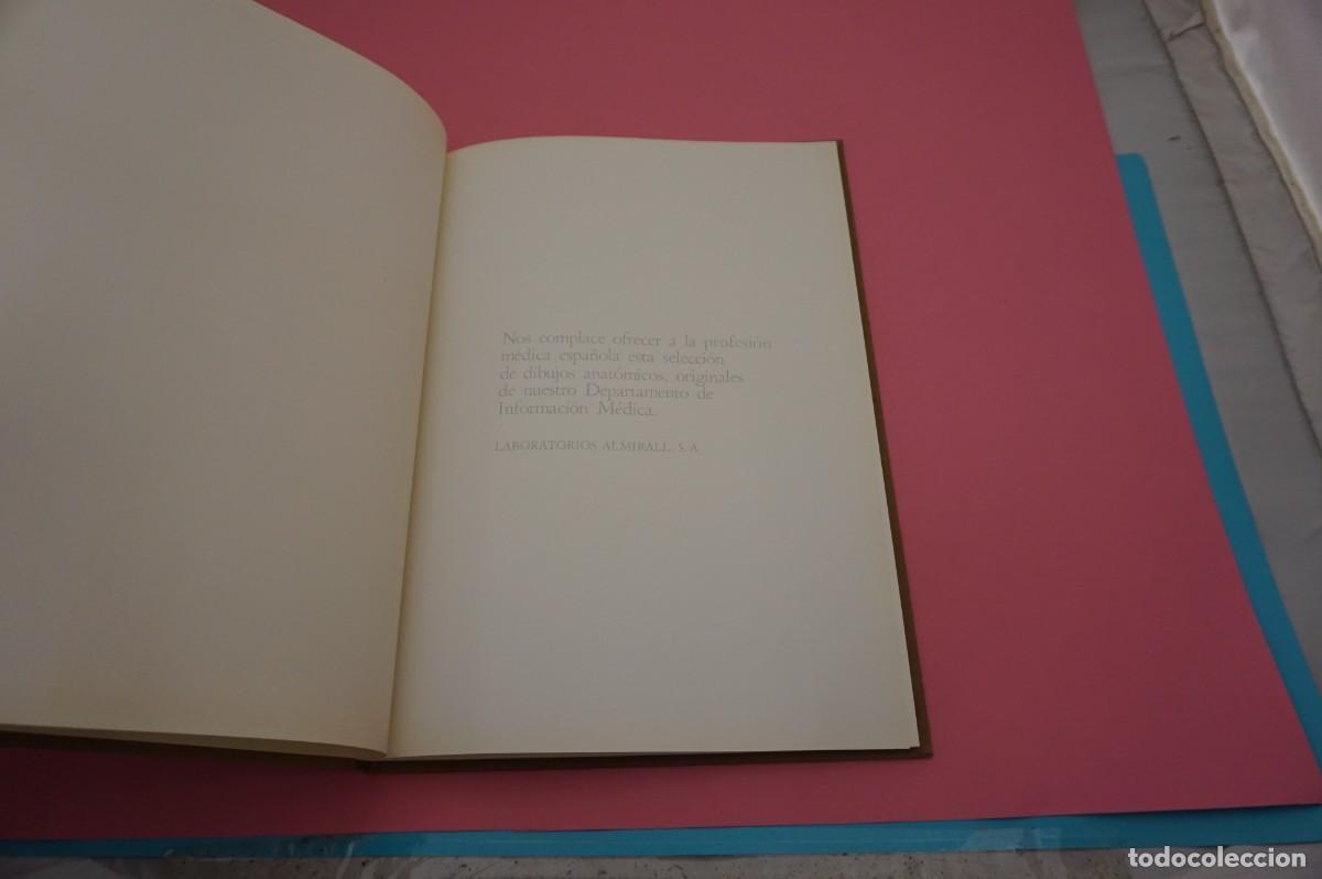 Libros: 24G/ LAMINAS DE ANATOMIA - LABORATORIOS ALMIRALL - Foto 2