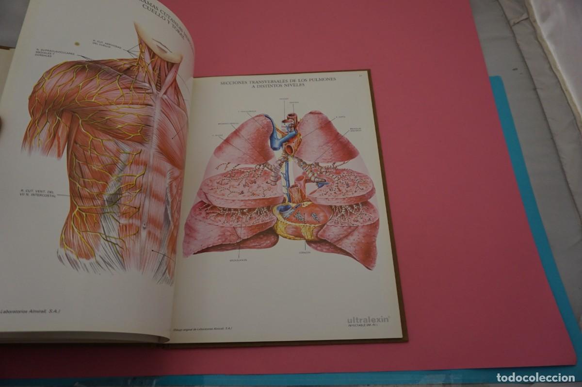 Libros: 24G/ LAMINAS DE ANATOMIA - LABORATORIOS ALMIRALL - Foto 4