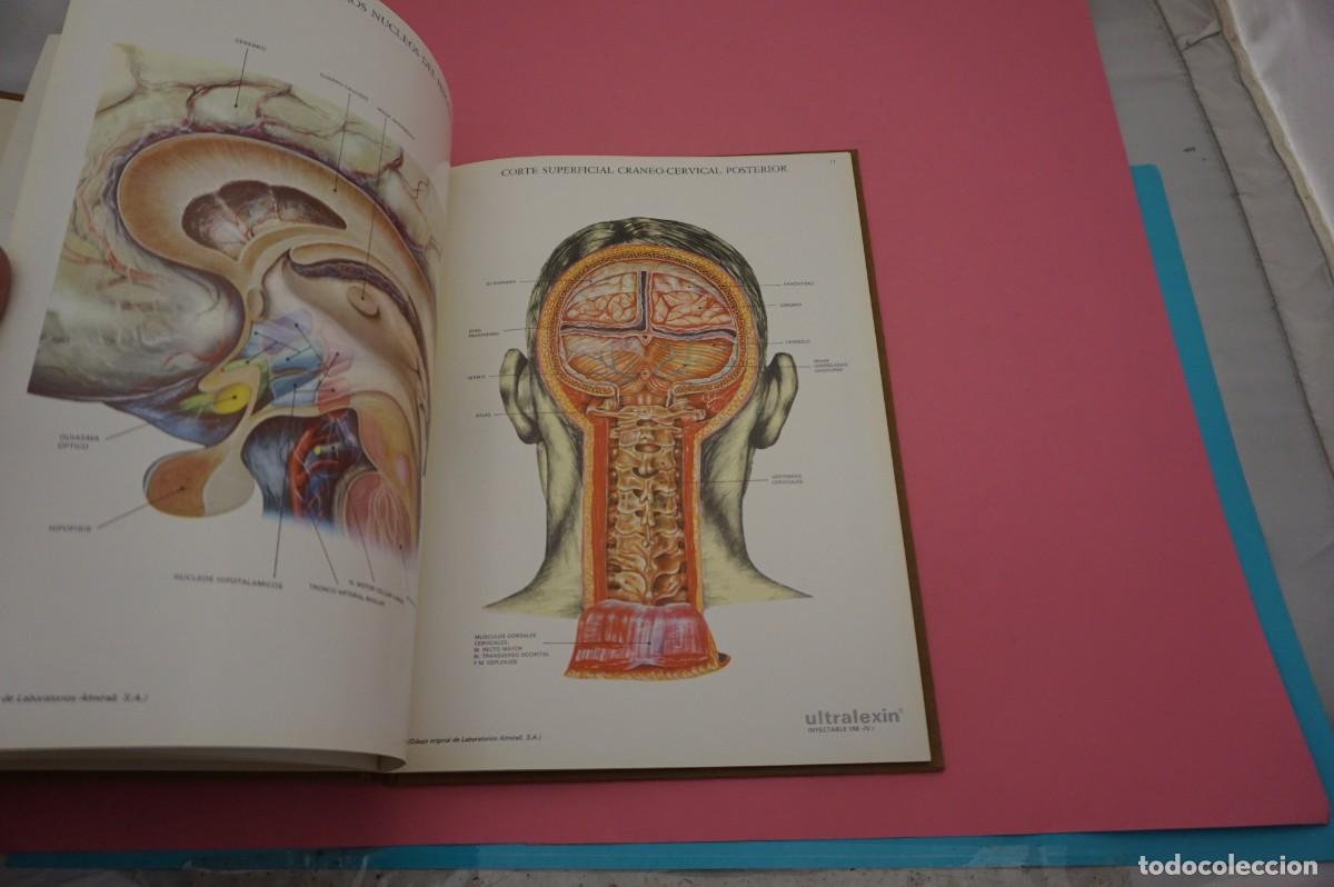 Libros: 24G/ LAMINAS DE ANATOMIA - LABORATORIOS ALMIRALL - Foto 5