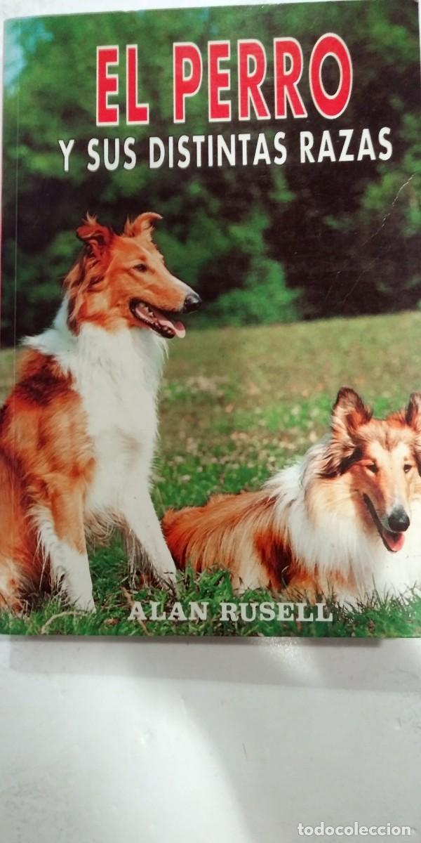 Libros: El perro y sus distintas razas Alan Rusell - Foto 1