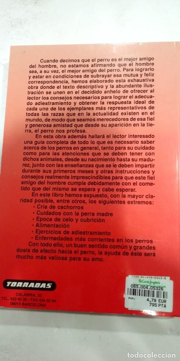 Libros: El perro y sus distintas razas Alan Rusell - Foto 2