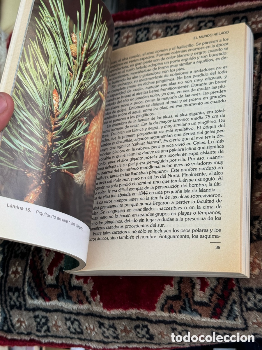 Libros: David Attenborough El planeta viviente - Foto 2