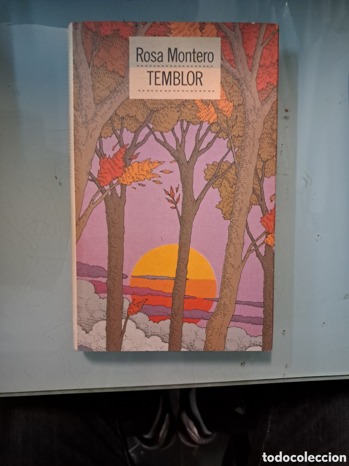 Libros: Rosa Montero, Temblor, C&iacute;rculo de Lectores - Foto 1