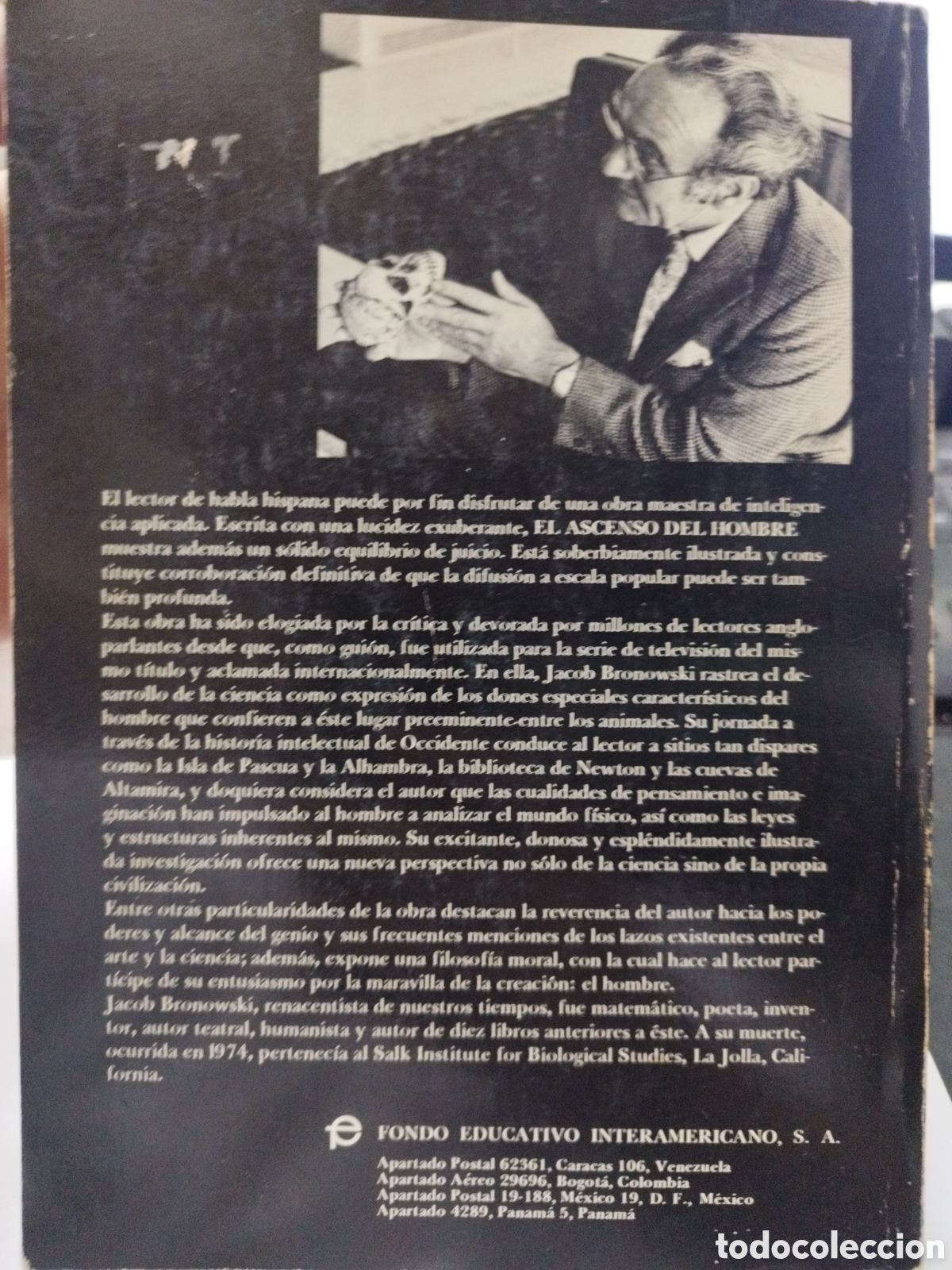Libros: EL ASCENSO DEL HOMBRE - BRONOWSKI,J. - Foto 3