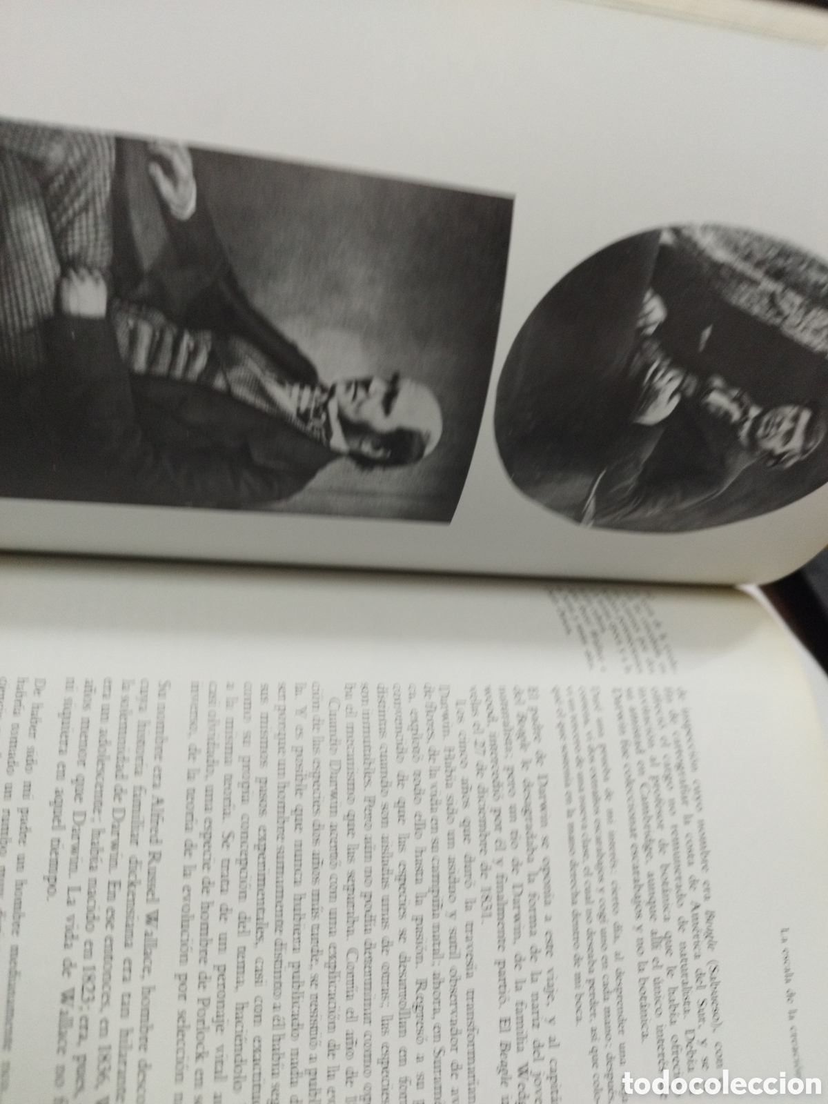 Libros: EL ASCENSO DEL HOMBRE - BRONOWSKI,J. - Foto 7