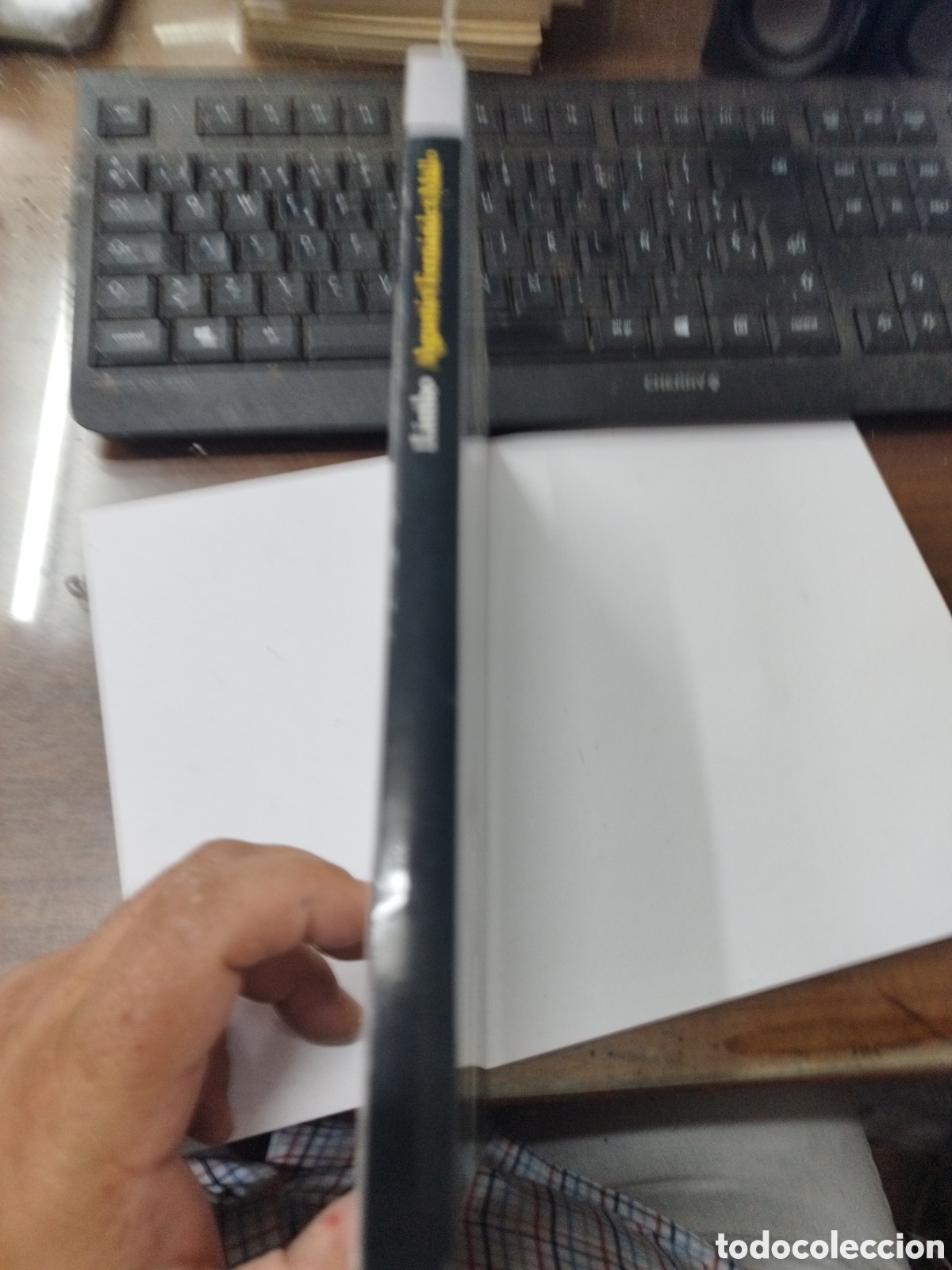 Libros: LIMBO - FERNANDEZ MALLO,Agust&iacute;n - Foto 2