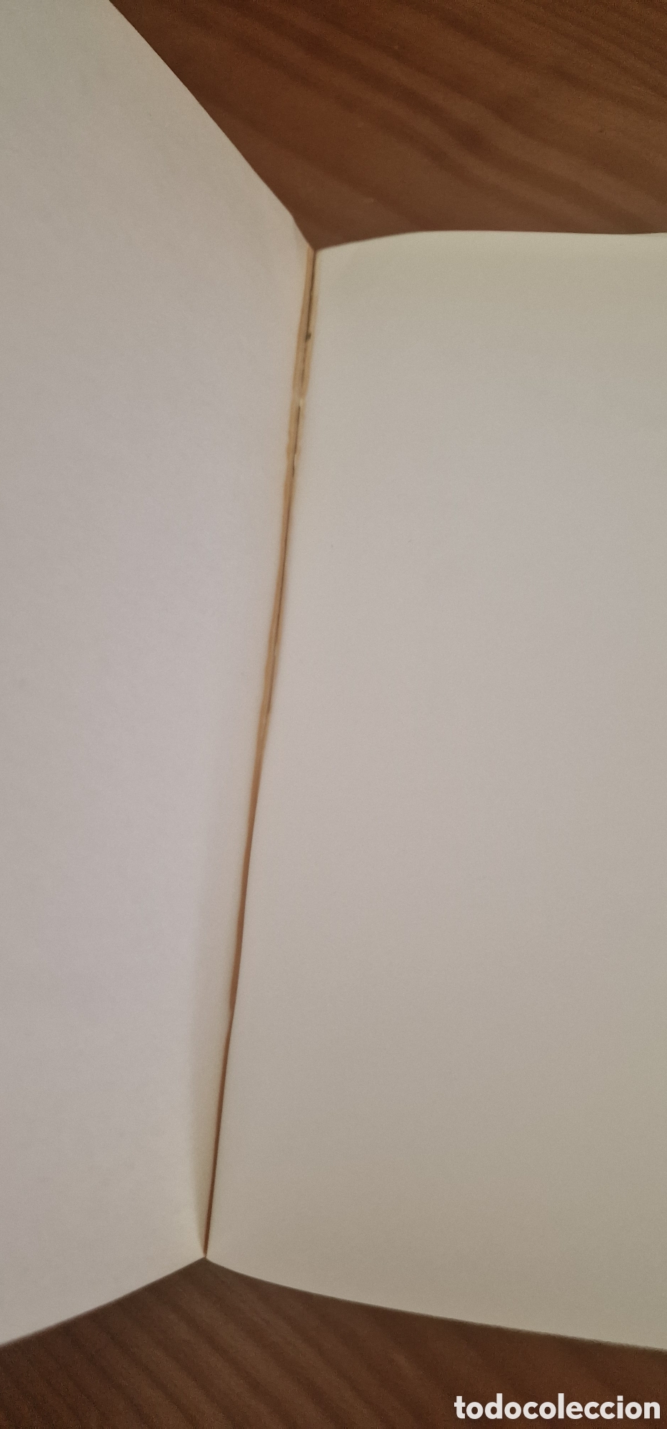 Libros: El delito sexual en Espa&ntilde;a - Foto 3