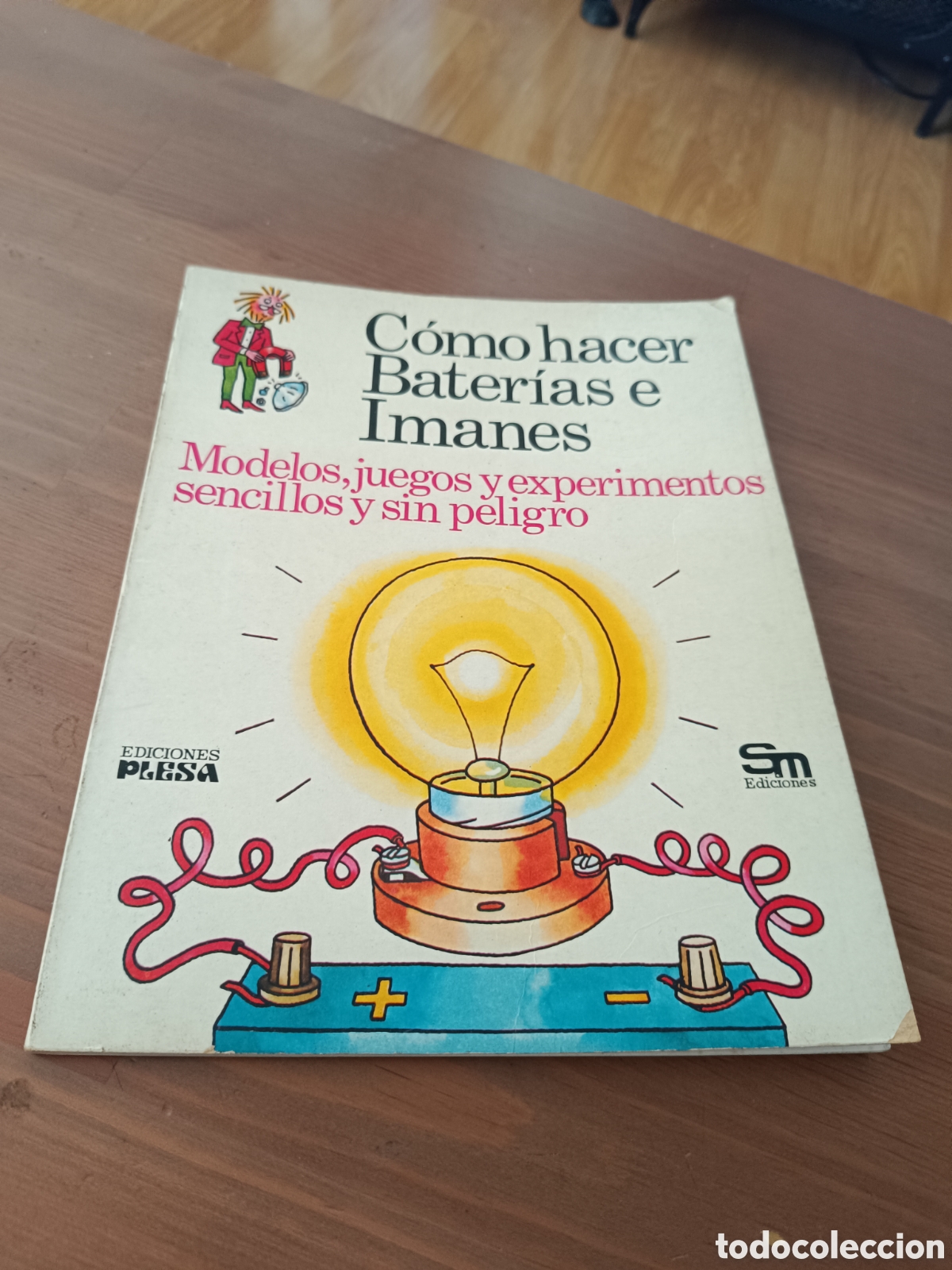 Libros: Como hacer bater&iacute;as e imanes Ediciones PLESA Ediciones SM - Foto 1