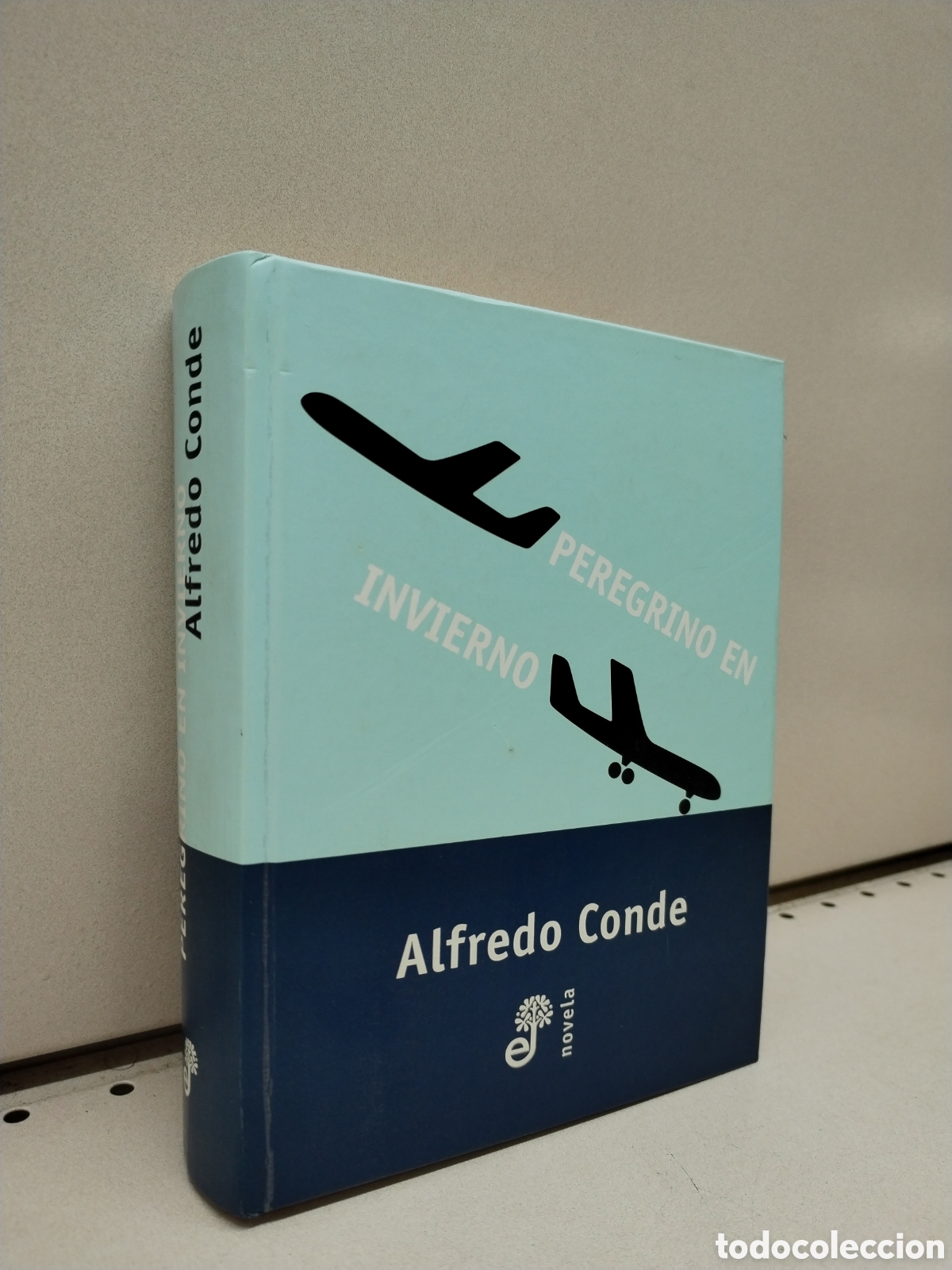 Libros: Peregrino en invierno - Conde, Alfredo - Foto 1