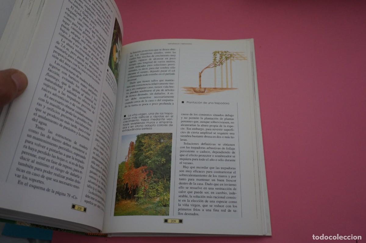 Libros: AR13C/ EL LIBRO DEL JARDIN - FAUSTA MAINARDI FAZIO / EDITORIAL DE VECCHI - Foto 3