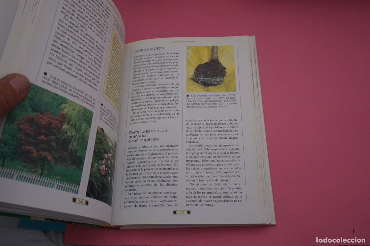 Libros: AR13C/ EL LIBRO DEL JARDIN - FAUSTA MAINARDI FAZIO / EDITORIAL DE VECCHI - Foto 4