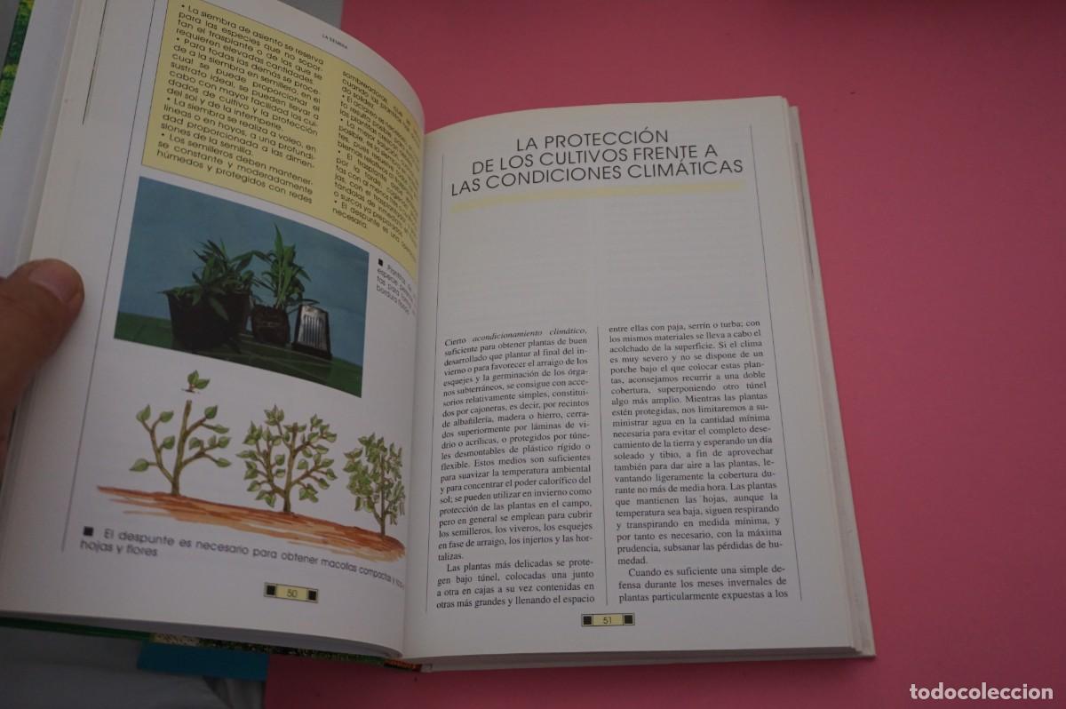 Libros: AR13C/ EL LIBRO DEL JARDIN - FAUSTA MAINARDI FAZIO / EDITORIAL DE VECCHI - Foto 5