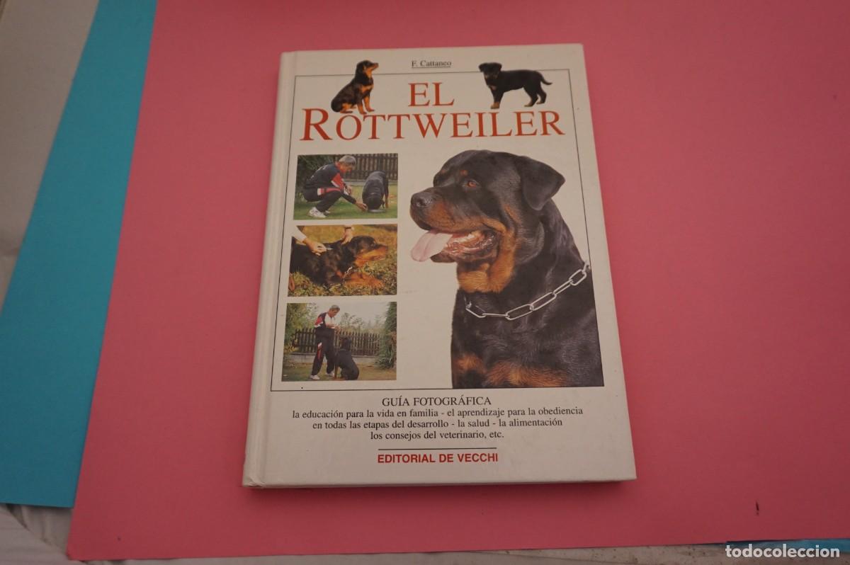 Libros: AR13C/ EL ROTTWEILER - F. CATTANEO / EDITORIAL DE VECCHI - Foto 1