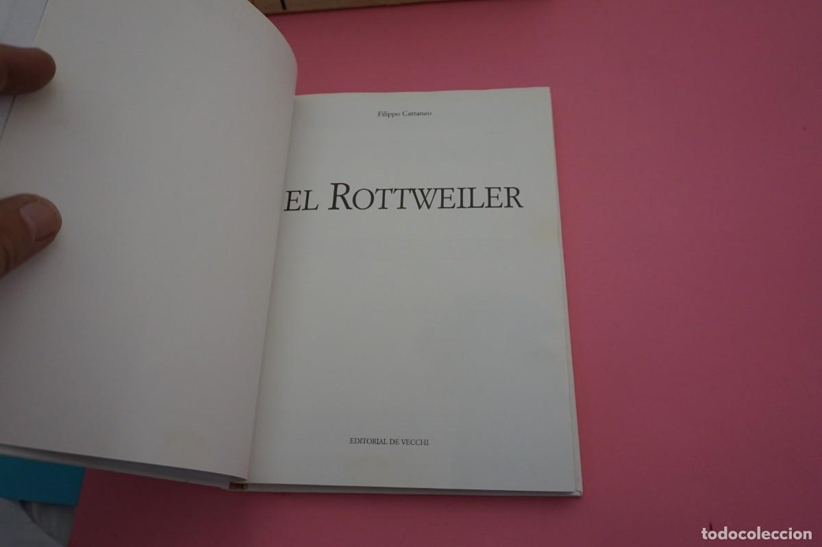 Libros: AR13C/ EL ROTTWEILER - F. CATTANEO / EDITORIAL DE VECCHI - Foto 2