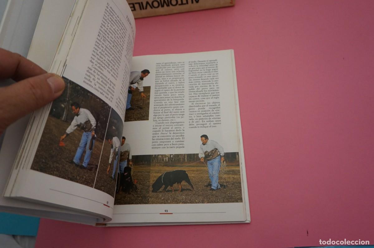 Libros: AR13C/ EL ROTTWEILER - F. CATTANEO / EDITORIAL DE VECCHI - Foto 3