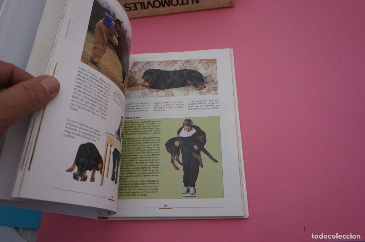 Libros: AR13C/ EL ROTTWEILER - F. CATTANEO / EDITORIAL DE VECCHI - Foto 4