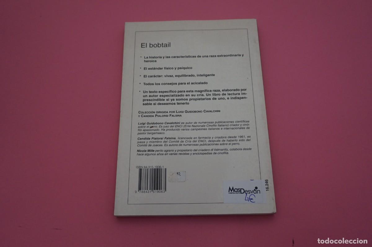 Libros: AR12C/ EL BOBTAIL - PERROS DE RAZA - N. MILLE / EDITORIAL DE VECCHI - Foto 5