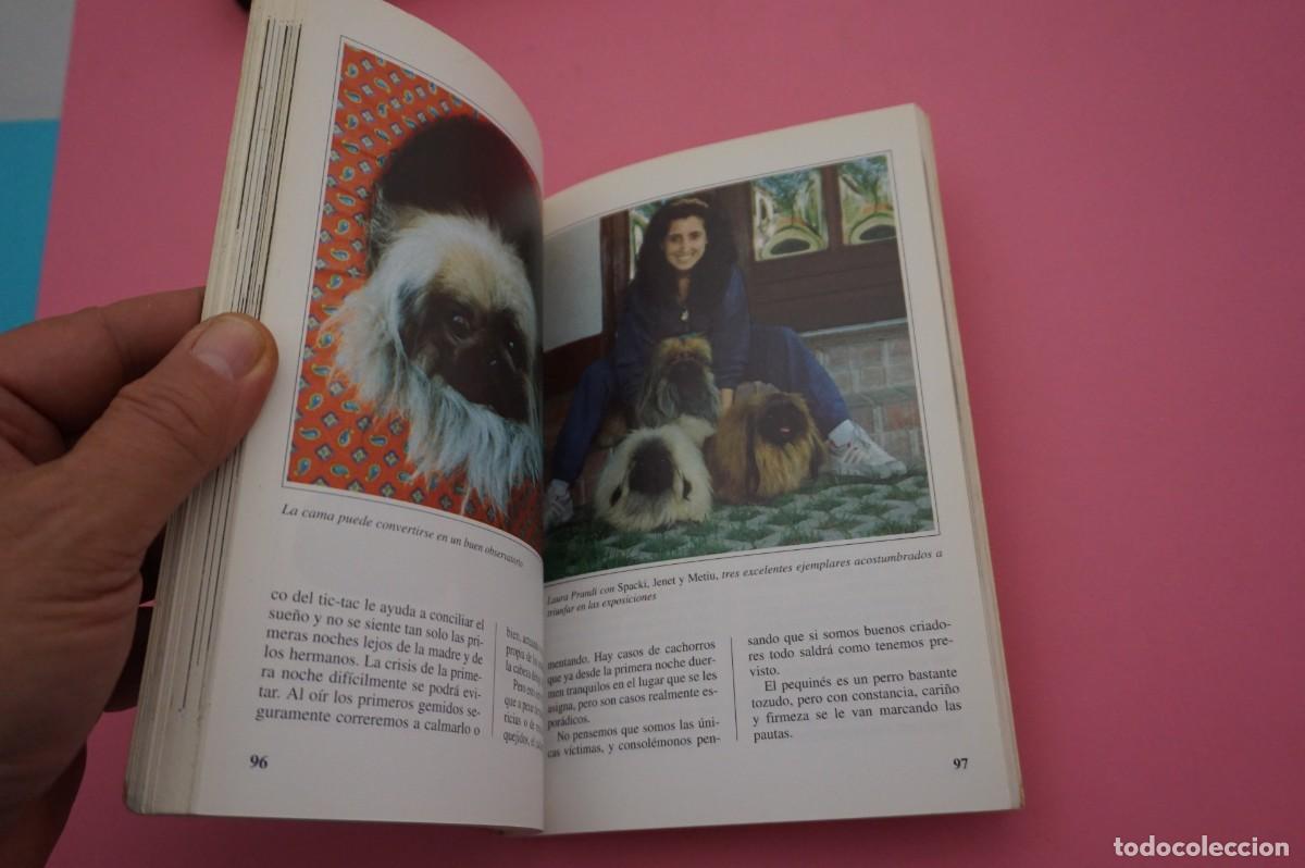 Libros: AR12C/ EL PEQUINES - PERROS DE RAZA / EDITORIAL DE VECCHI - Foto 3