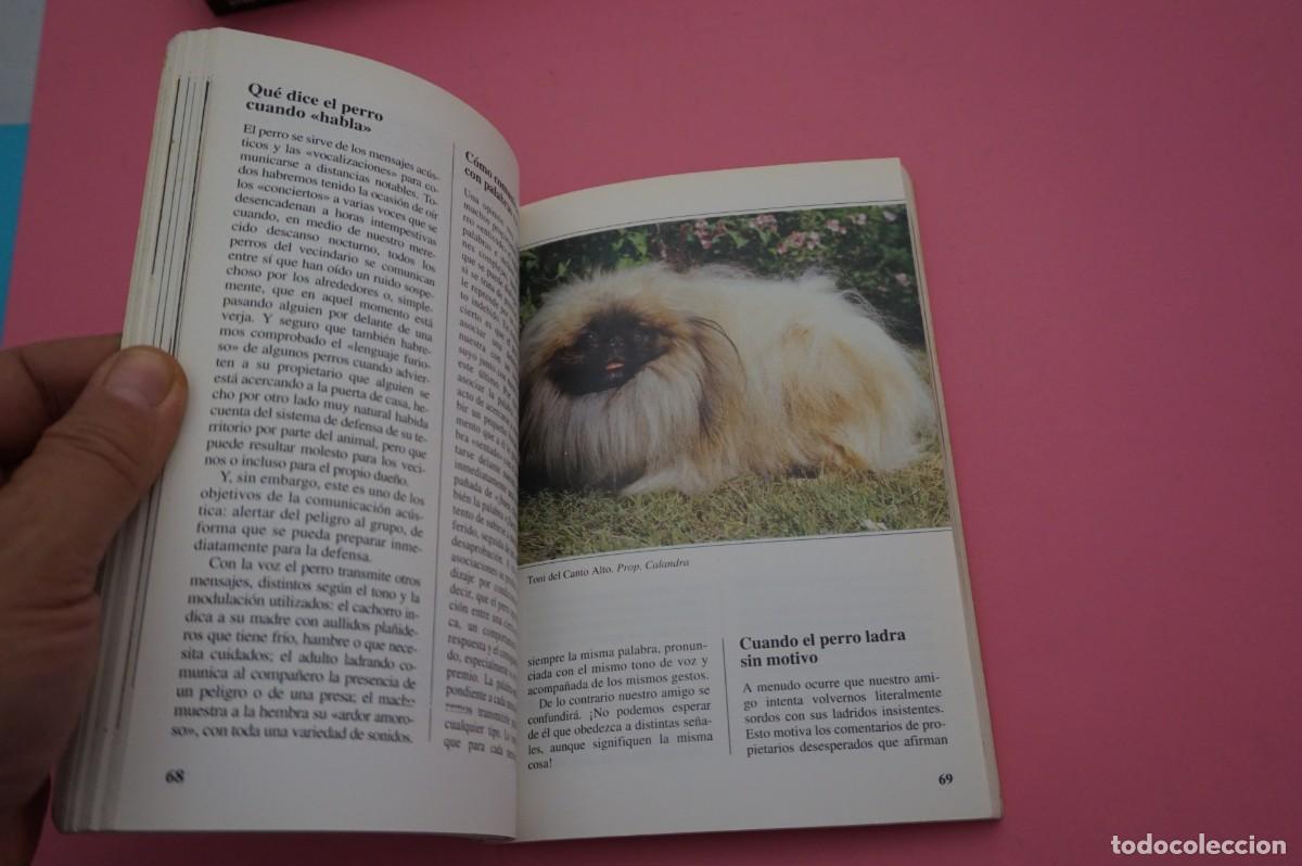 Libros: AR12C/ EL PEQUINES - PERROS DE RAZA / EDITORIAL DE VECCHI - Foto 4
