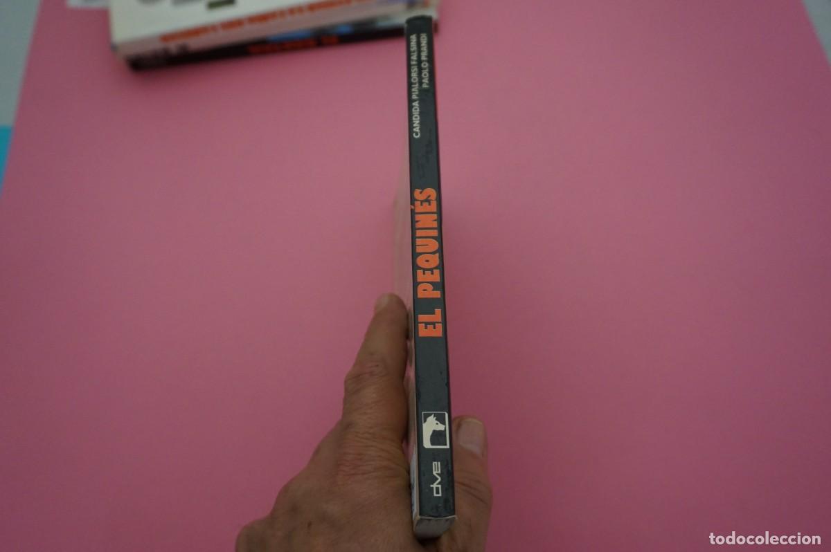 Libros: AR12C/ EL PEQUINES - PERROS DE RAZA / EDITORIAL DE VECCHI - Foto 6
