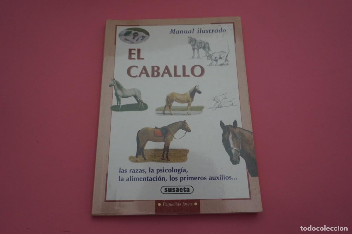 books: AR12C/ EL CABALLO - MANUAL ILUSTRADO - LAS RAZAS, LA PSICOLOGIA, LA ALIMENTACION...