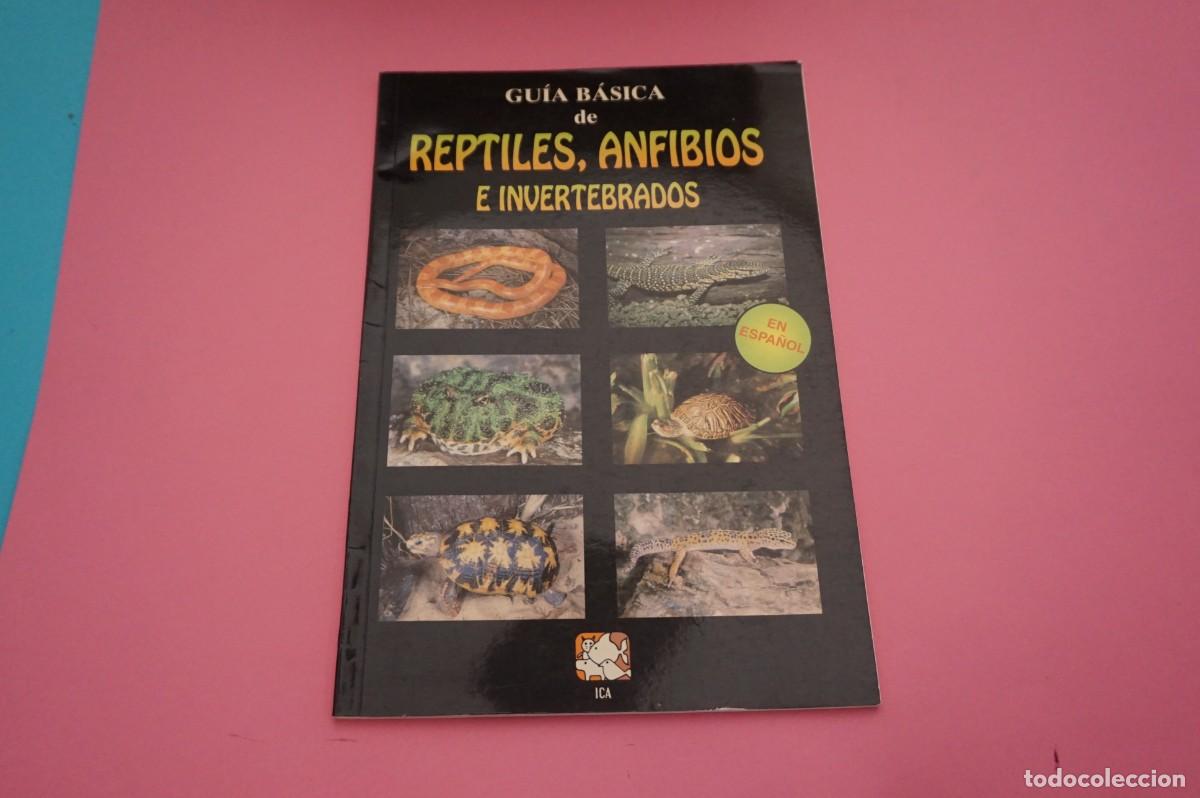 Libros: AR12C/ GUIA BASICA DE REPTILES, ANFIBIOS E INVERTEBRADOS