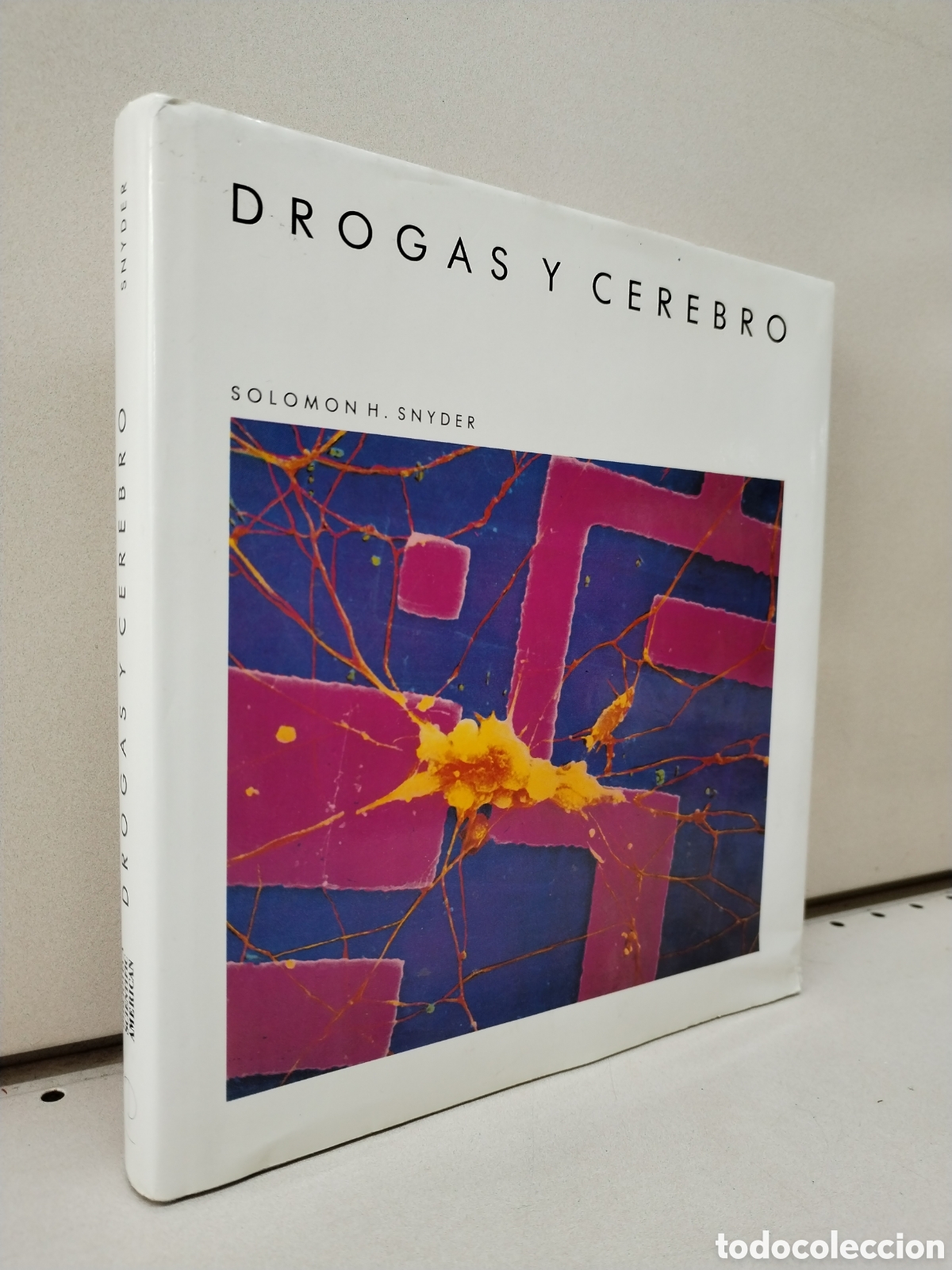 Libros: Drogas y cerebro - SNYDER, SOLOMON H. - Foto 1