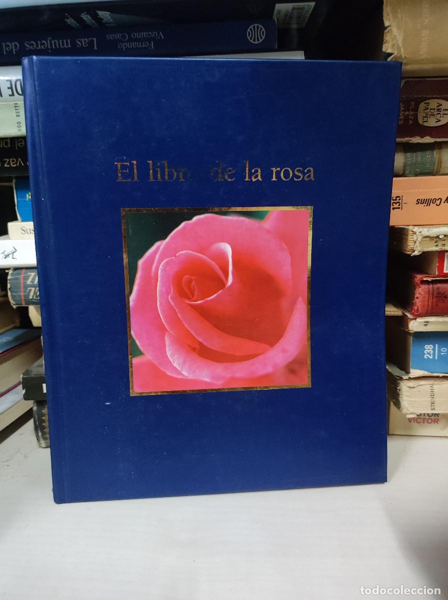 Libros: El libro de la rosa - Lola Gavarr&oacute;n y Mar&iacute;a Luisa Rojo - Foto 1