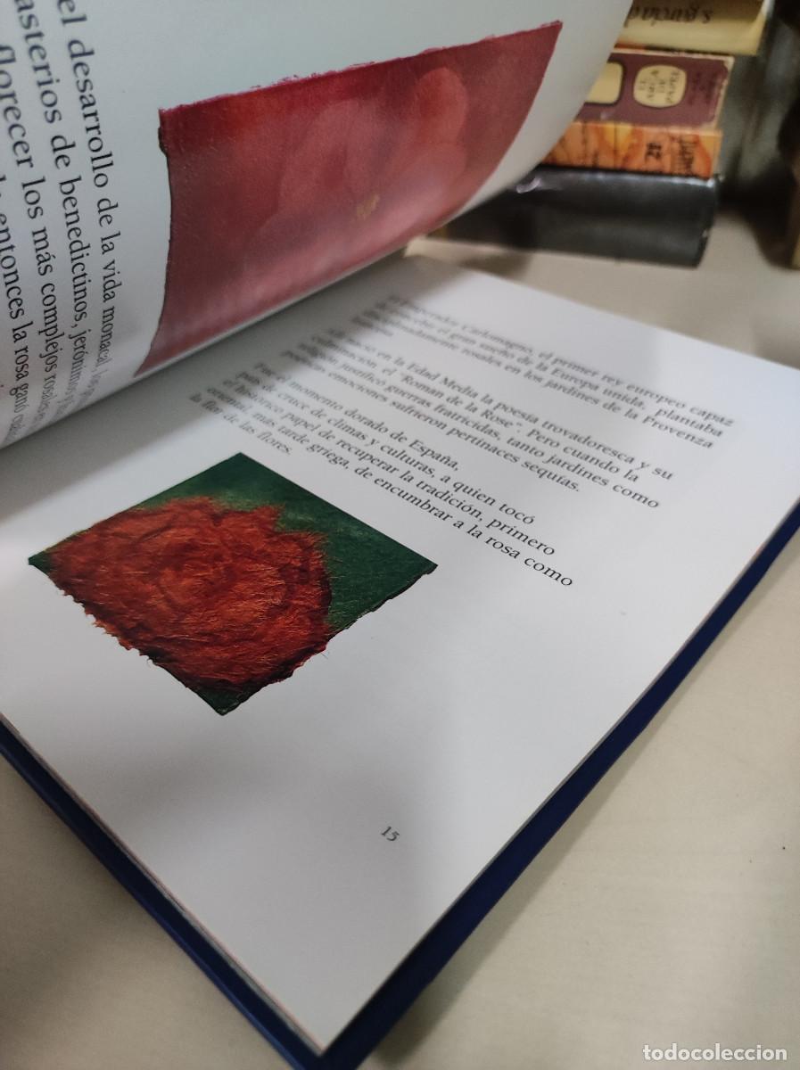 Libros: El libro de la rosa - Lola Gavarr&oacute;n y Mar&iacute;a Luisa Rojo - Foto 2