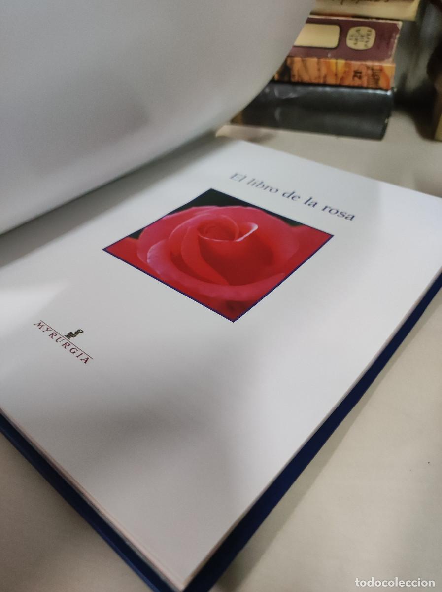Libros: El libro de la rosa - Lola Gavarr&oacute;n y Mar&iacute;a Luisa Rojo - Foto 3