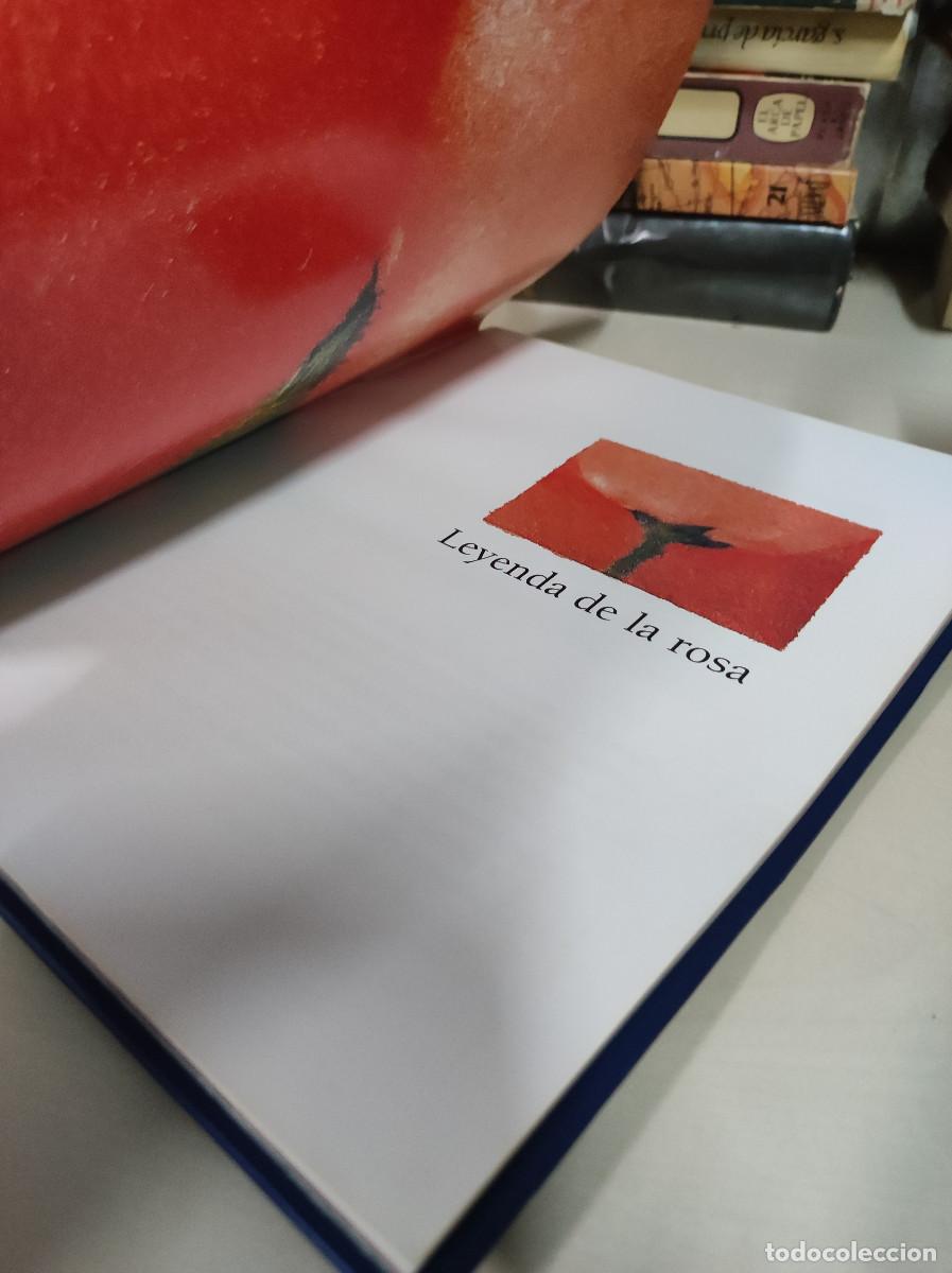 Libros: El libro de la rosa - Lola Gavarr&oacute;n y Mar&iacute;a Luisa Rojo - Foto 4