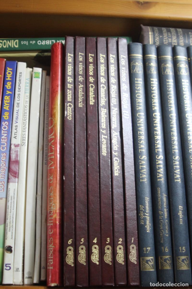 Libros: 6 LIBROS DE LA COLECCION LOS VINOS DE ORBIS - Foto 1