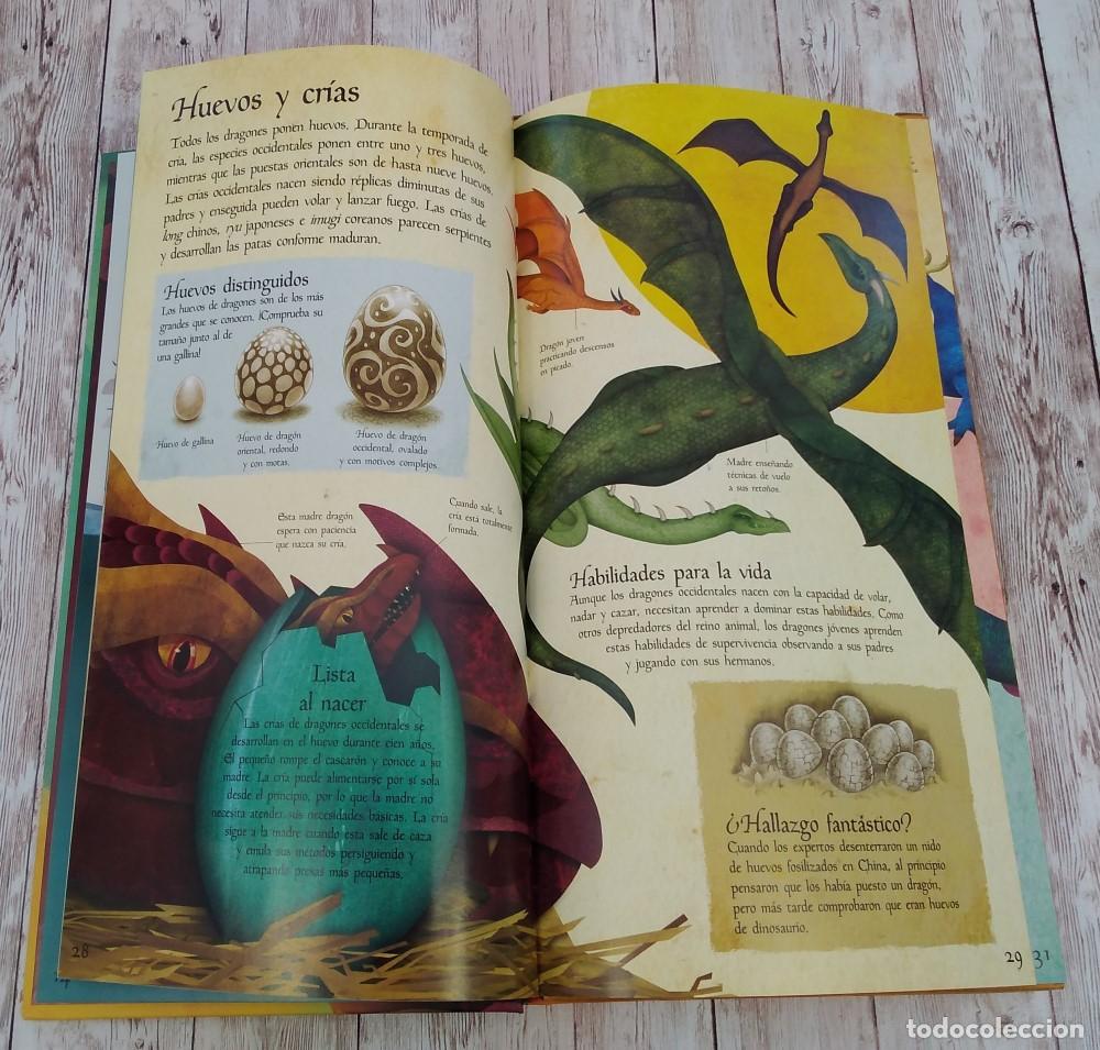 Libros: Construye un drag&oacute;n m&oacute;vil. Construyo un drag&oacute;n - Foto 2